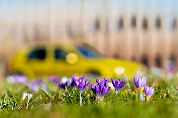 Spring Maintenance Checklist for Your Vehicle